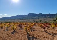 Venta - Terreno - La Romana - Rural location