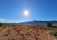 Venta - Terreno - La Romana - Rural location