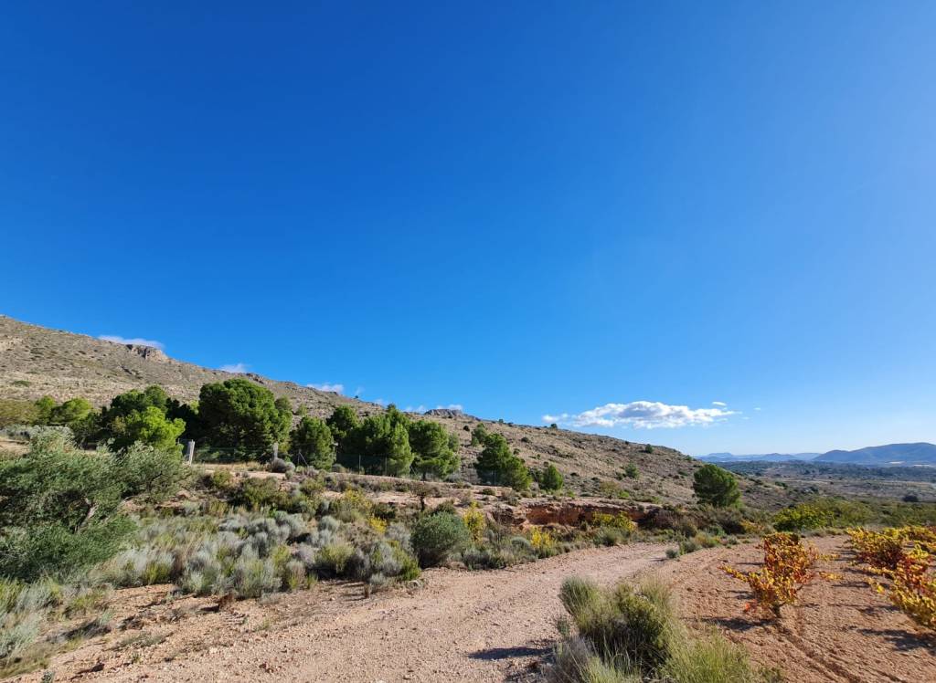 Venta - Terreno - La Romana - Rural location