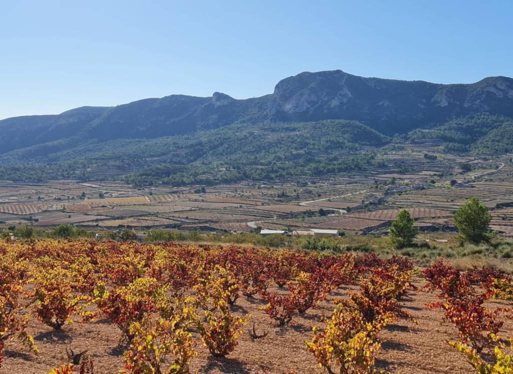 Venta - Terreno - La Romana - Rural location