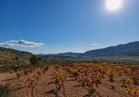 Venta - Terreno - La Romana - Rural location