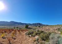 Venta - Terreno - La Romana - Rural location