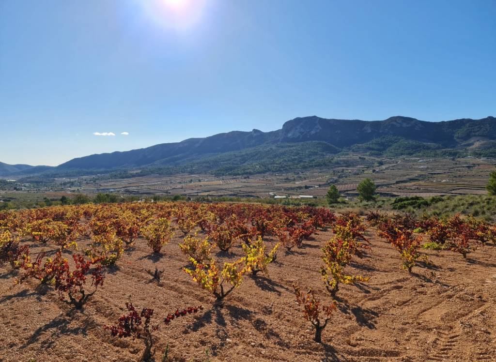 Venta - Terreno - La Romana - Rural location