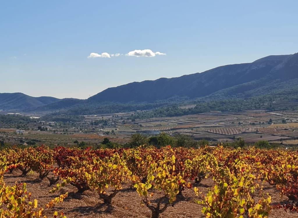 Venta - Terreno - La Romana - Rural location