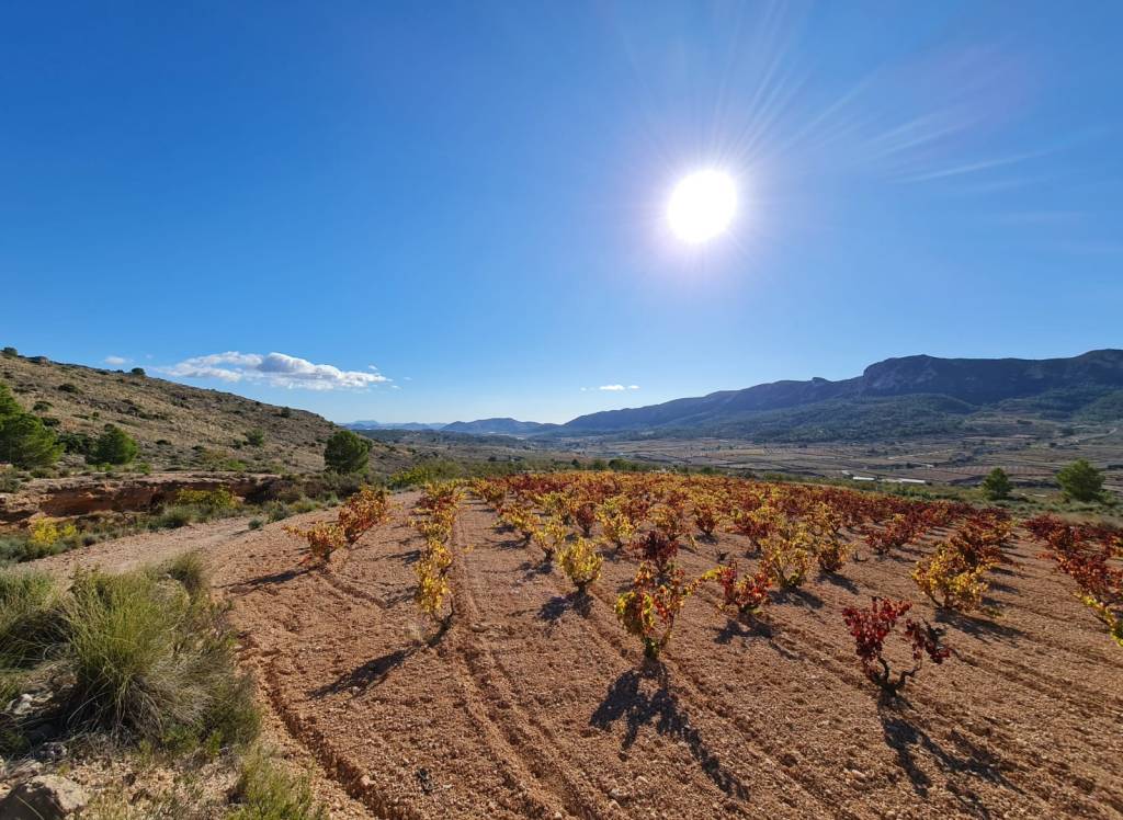 Venta - Terreno - La Romana - Rural location