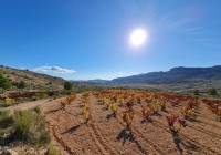 Venta - Terreno - La Romana - Rural location