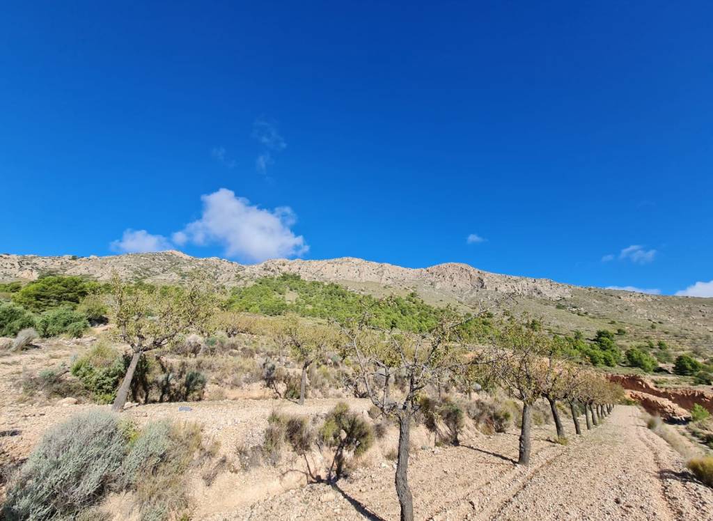 Venta - Terreno - La Romana