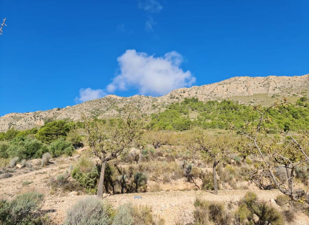 Venta - Terreno - La Romana