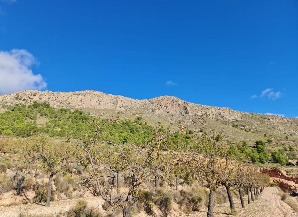 Venta - Terreno - La Romana