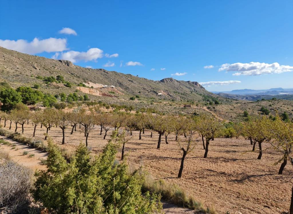 Venta - Terreno - La Romana