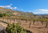 Venta - Terreno - La Romana