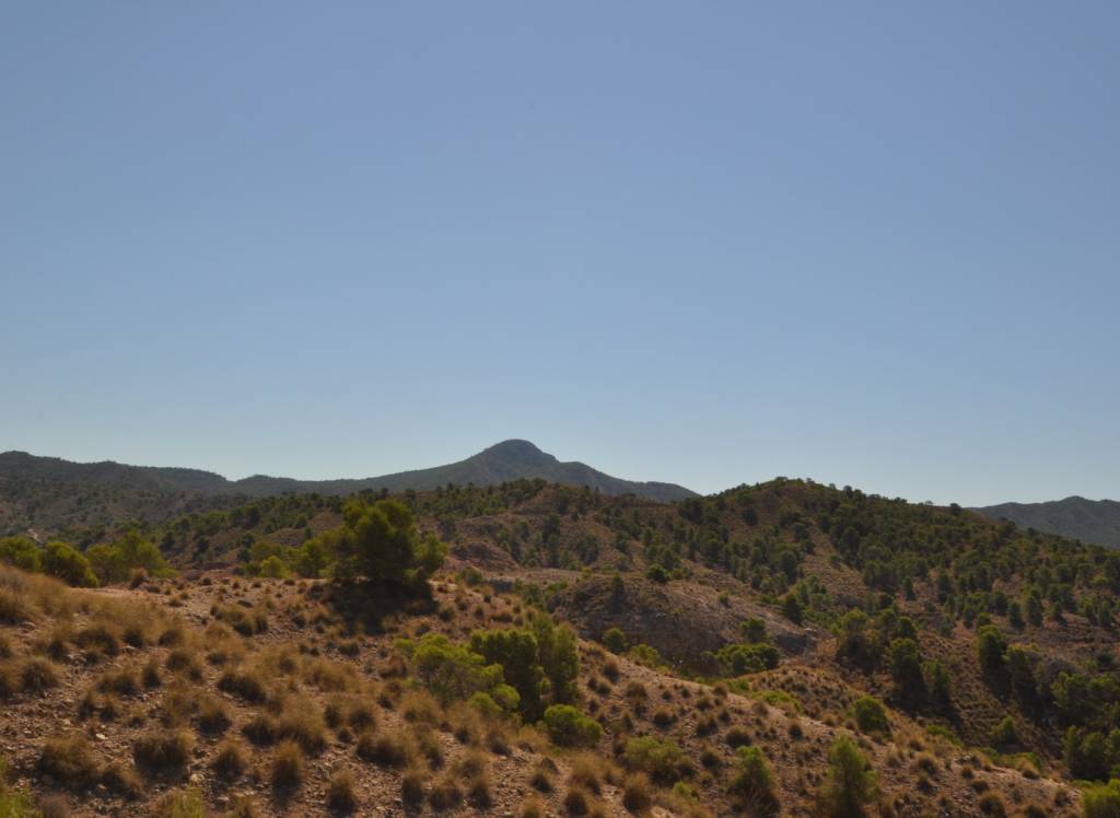 Venta - Terreno - Macisvenda - Rural location