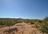 Venta - Terreno - Macisvenda - Rural location