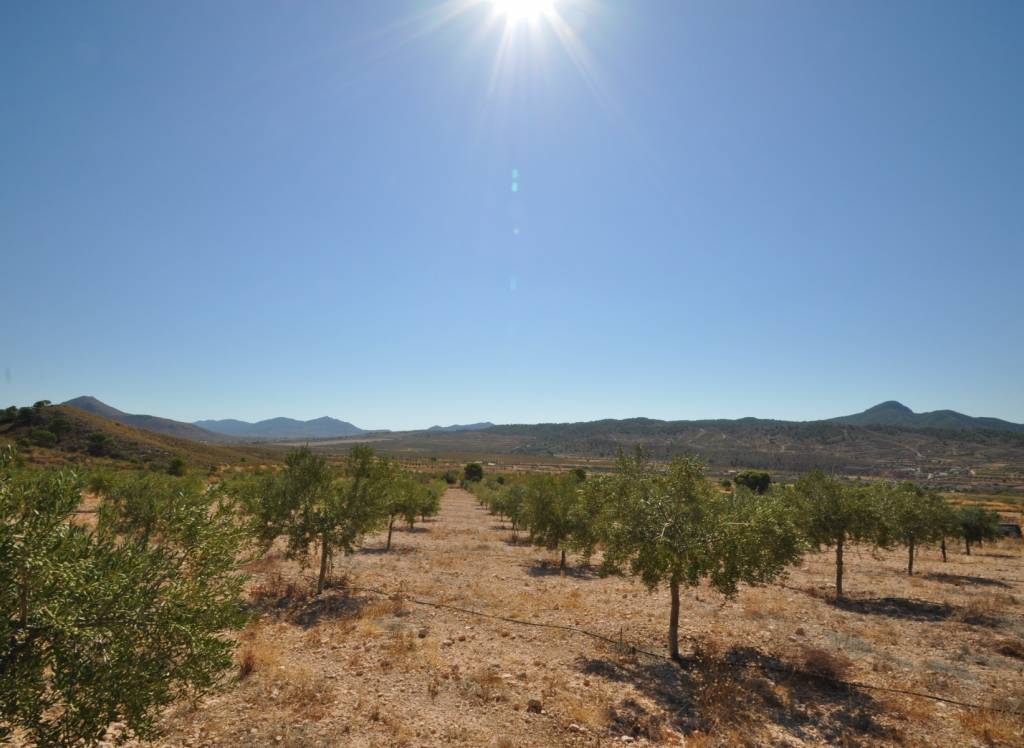 Venta - Terreno - Macisvenda - Rural location