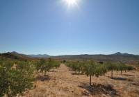 Venta - Terreno - Macisvenda - Rural location