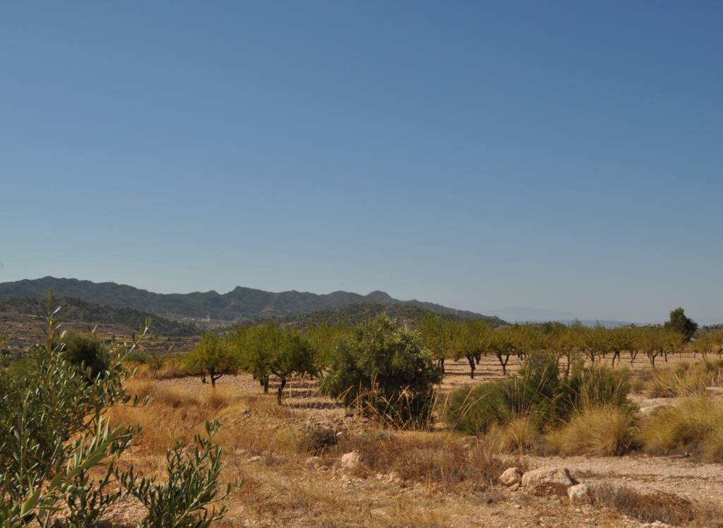 Venta - Terreno - Macisvenda - Rural location