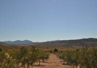 Venta - Terreno - Macisvenda - Rural location