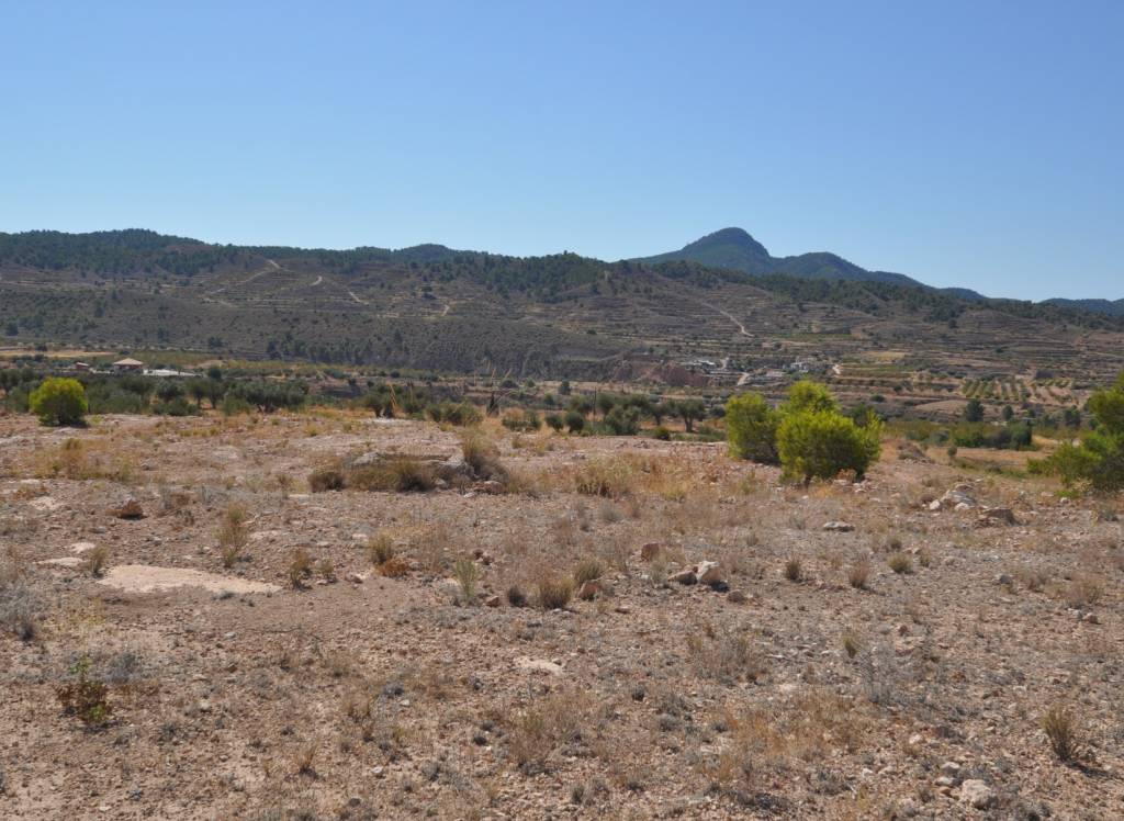 Venta - Terreno - Macisvenda - Rural location