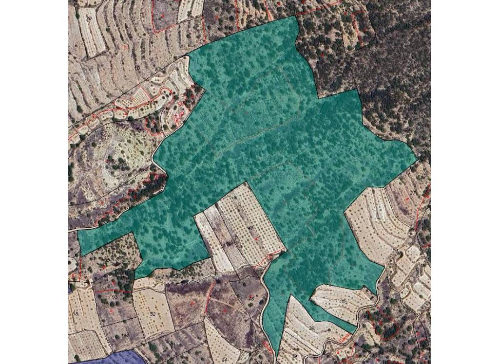 Venta - Terreno - Monóvar/Monóver - Monovar