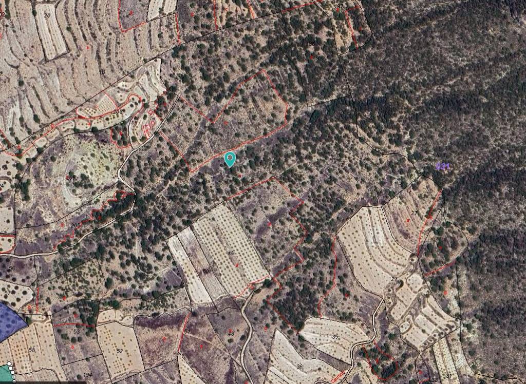 Venta - Terreno - Monóvar/Monóver - Monovar