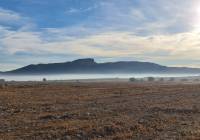 Venta - Terreno - Monóvar/Monóver - Monovar