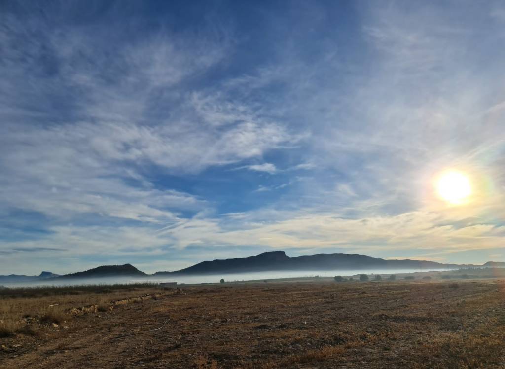 Venta - Terreno - Monóvar/Monóver - Monovar