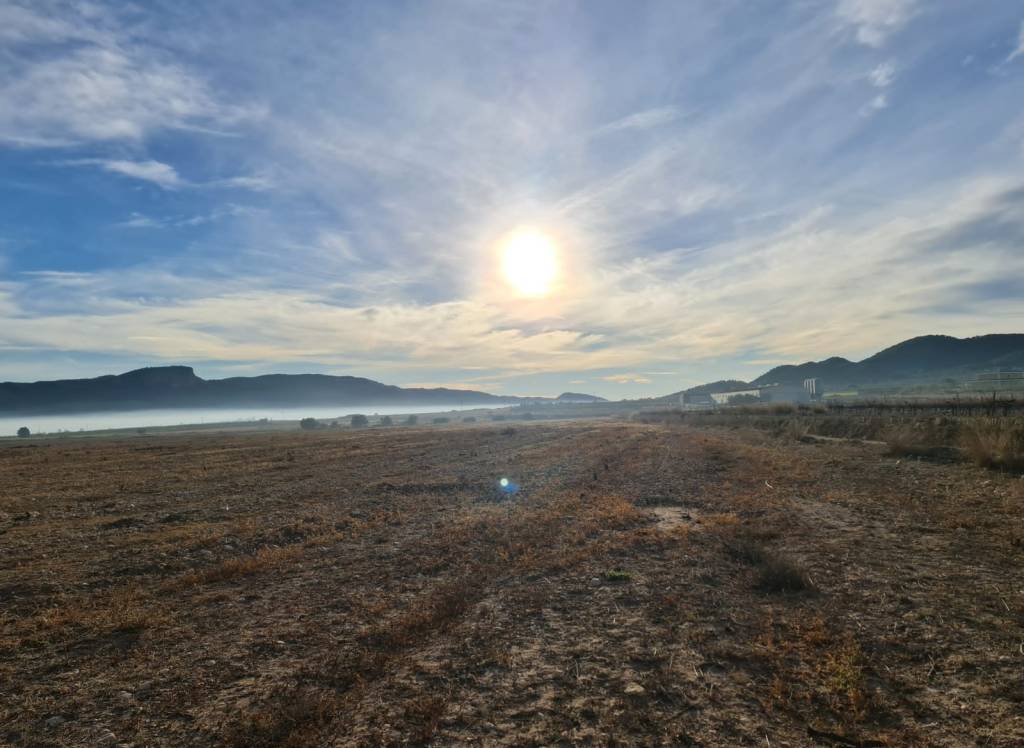 Venta - Terreno - Monóvar/Monóver - Monovar