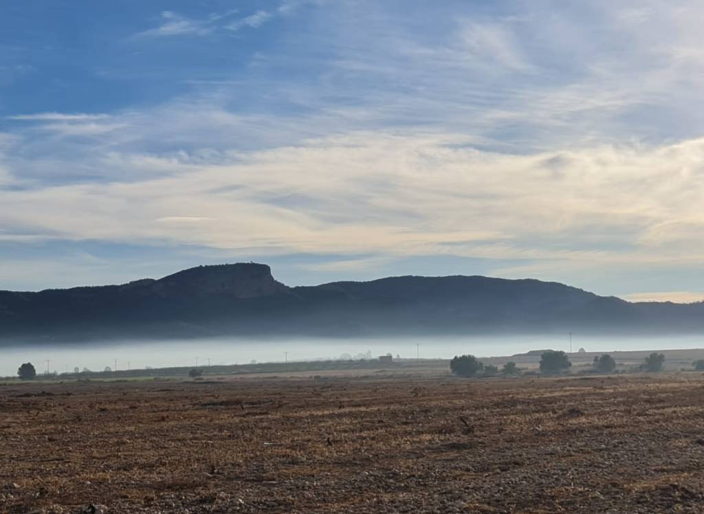 Venta - Terreno - Monóvar/Monóver - Monovar