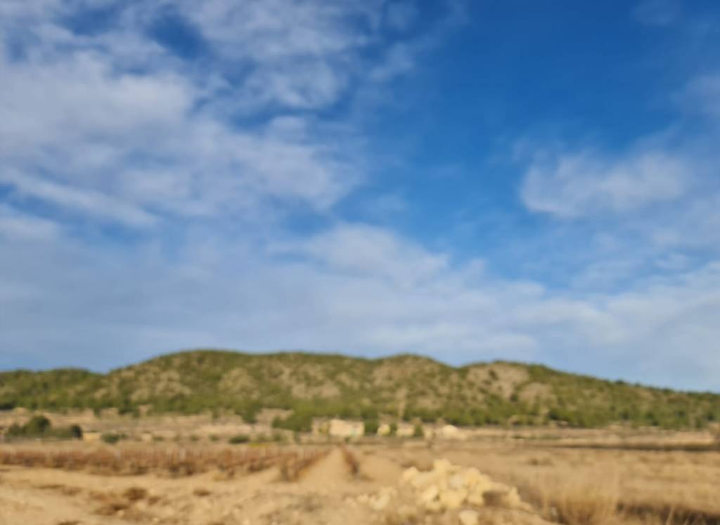 Venta - Terreno - Monóvar/Monóver - Monovar