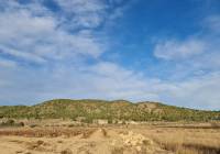 Venta - Terreno - Monóvar/Monóver - Monovar