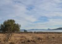 Venta - Terreno - Monóvar/Monóver - Monovar