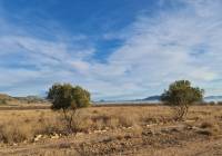 Venta - Terreno - Monóvar/Monóver - Monovar