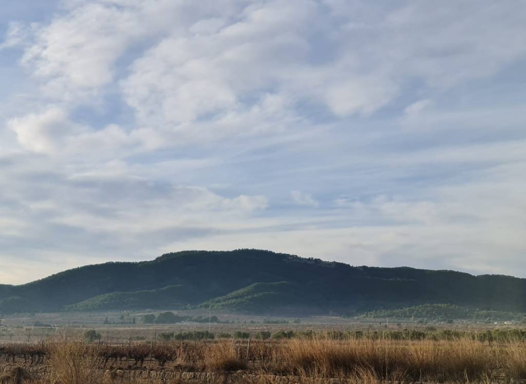 Venta - Terreno - Monóvar/Monóver - Monovar