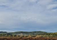 Venta - Terreno - Monóvar/Monóver - Monovar