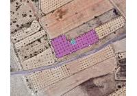 Venta - Terreno - Monovar - Rural location