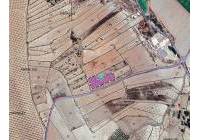 Venta - Terreno - Monovar - Rural location