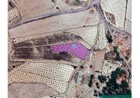 Venta - Terreno - Monovar - Rural location