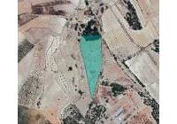 Venta - Terreno - Monovar - Rural location