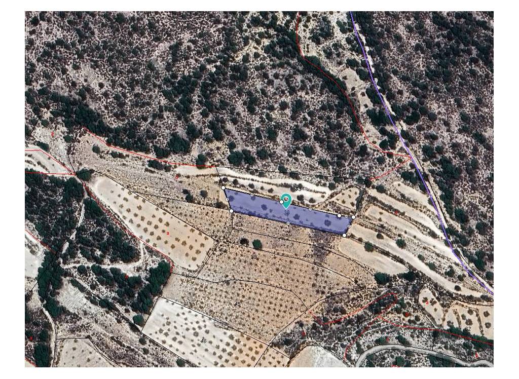 Venta - Terreno - Monovar - Rural location