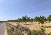 Venta - Terreno - Monovar - Rural location