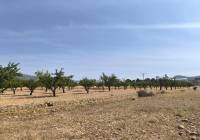 Venta - Terreno - Monovar - Rural location