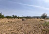 Venta - Terreno - Monovar - Rural location