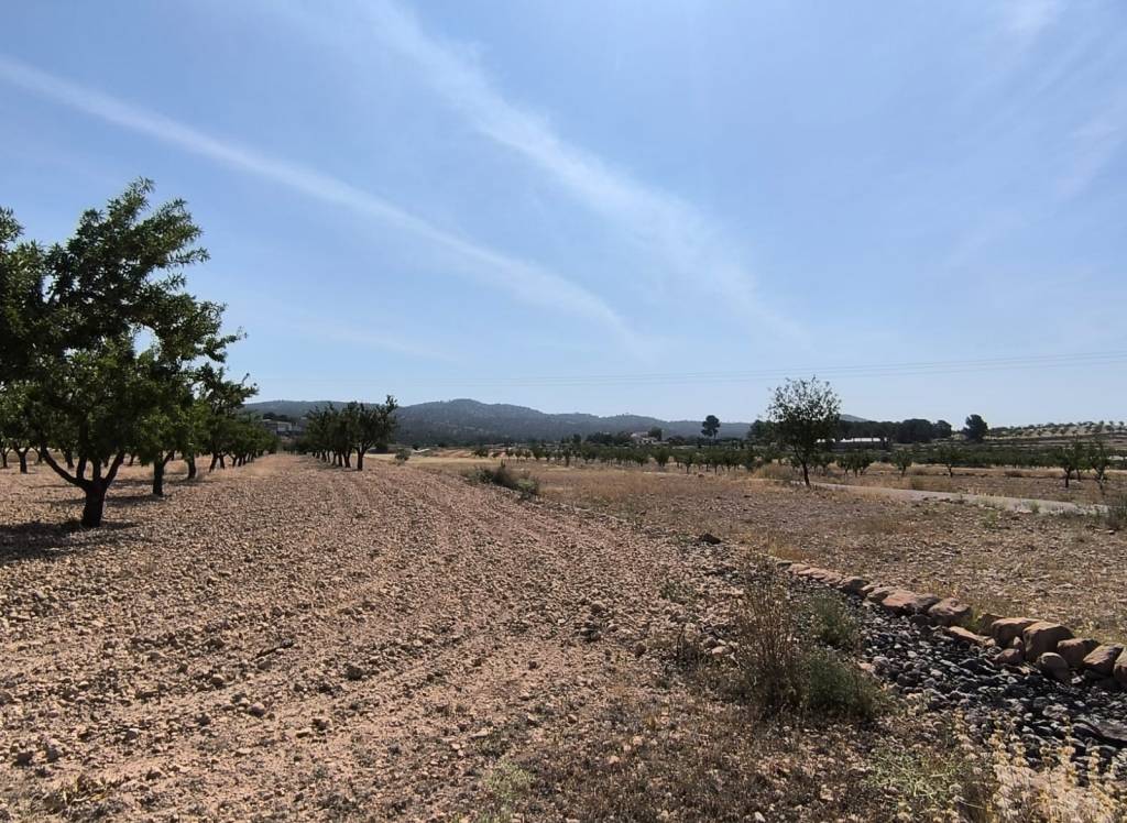 Venta - Terreno - Monovar - Rural location