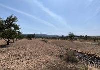 Venta - Terreno - Monovar - Rural location