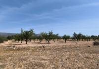 Venta - Terreno - Monovar - Rural location