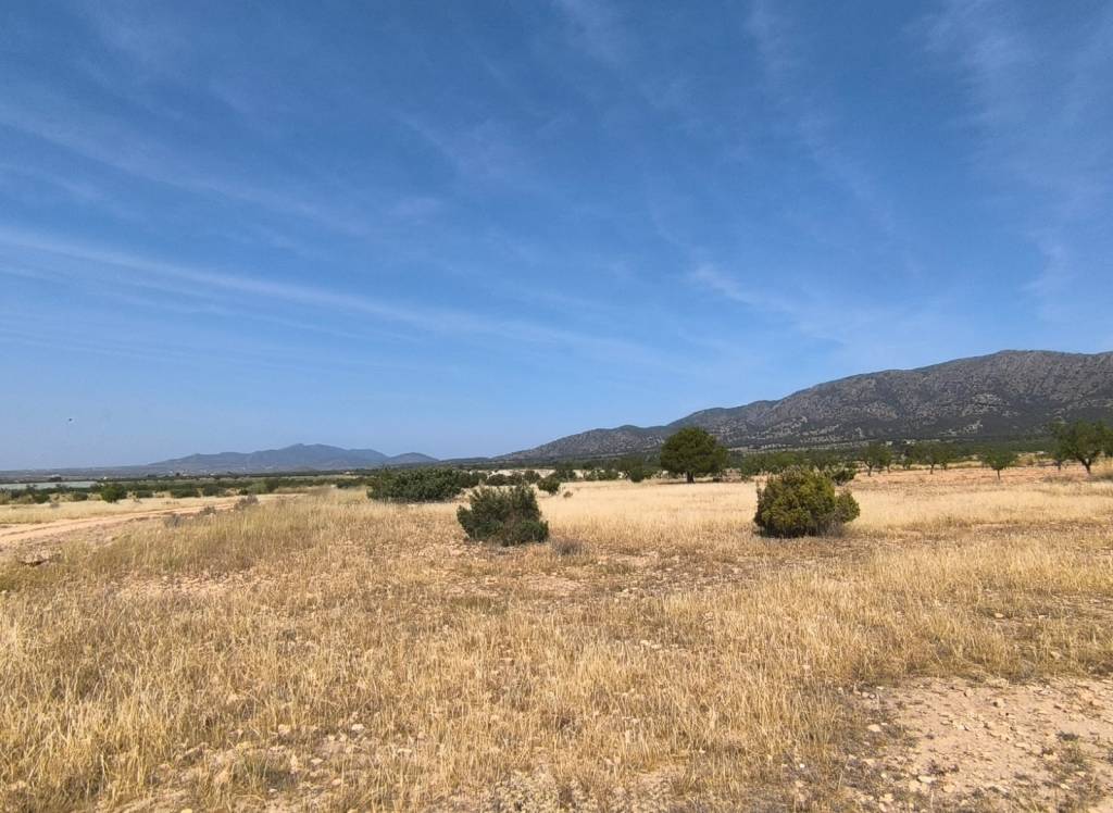 Venta - Terreno - Monovar - Rural location