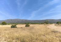 Venta - Terreno - Monovar - Rural location