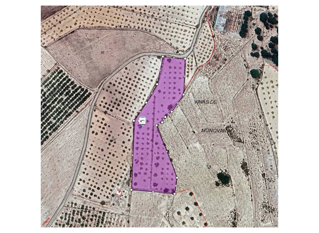 Venta - Terreno - Monovar - Rural location