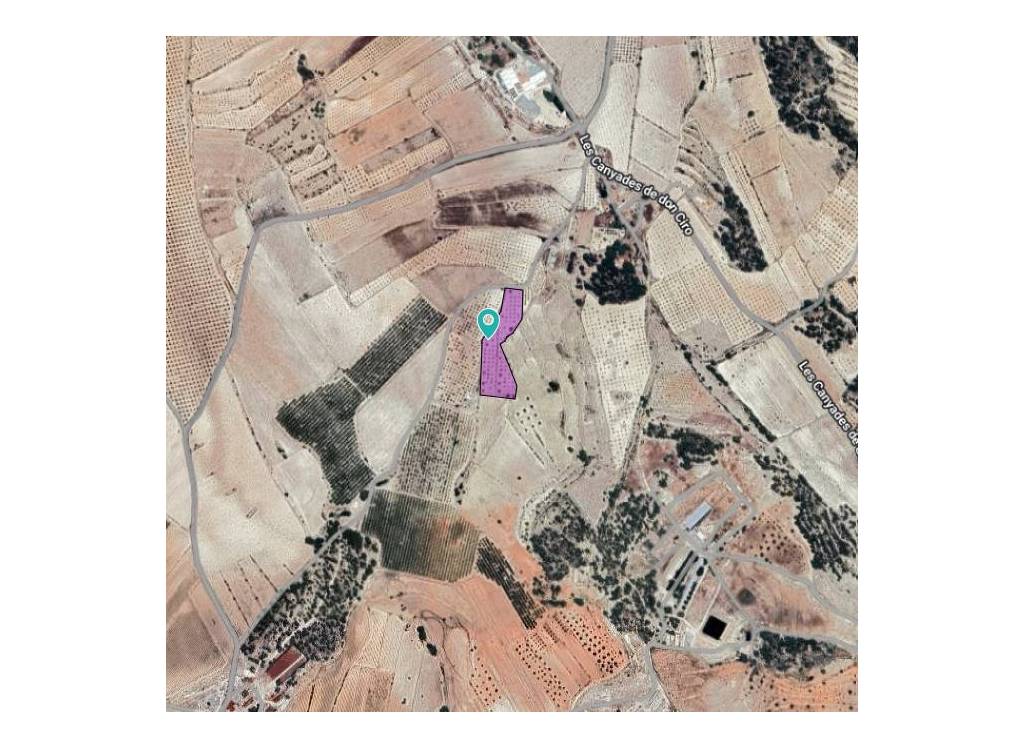 Venta - Terreno - Monovar - Rural location