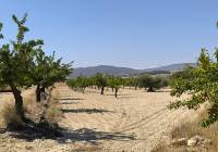 Venta - Terreno - Monovar - Rural location